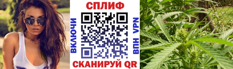 Канабис VHQ  Купить закладки  Новоалександровск 